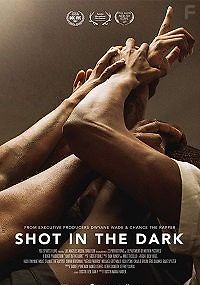 Выстрел в темноте