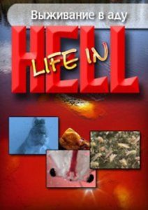 Выживание в аду