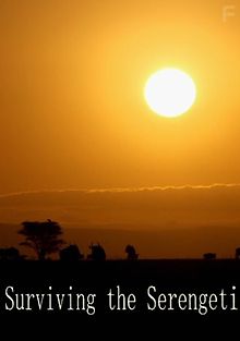 Выживание в Серенгети