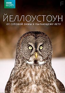 Йеллоустоун: От суровой зимы до пылающего лета