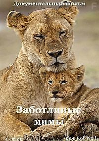 Заботливые мамы