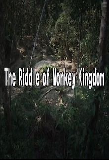 Загадка царства обезьян