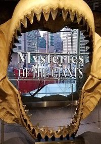 Загадки исчезнувших великанов