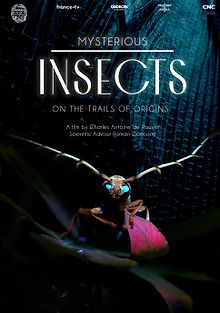 Загадочный мир насекомых