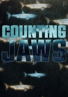 Захватчики побережья