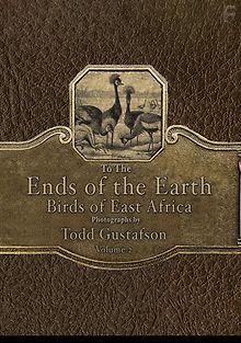 Захватывающие птицы Восточной Африки