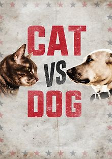 Заклятые враги. Кошки против собак