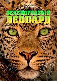 Зеленоглазый леопард