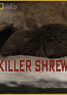 Землеройка-убийца