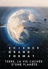 Земля: симфония жизни