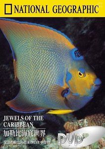 Жемчужины Карибского моря