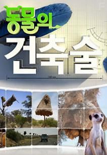 Животные-строители