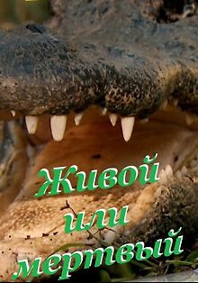 Живой или мертвый