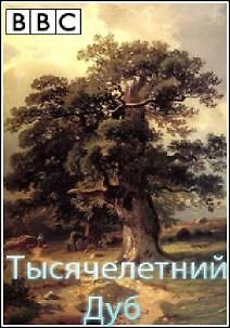 Живой мир. Тысячелетний дуб