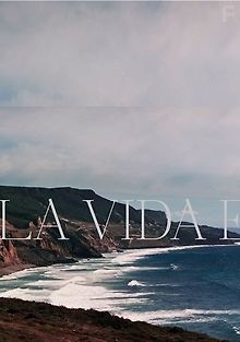 Жизнь — это...