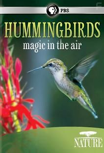 Жизнь колибри