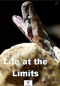 Жизнь на грани