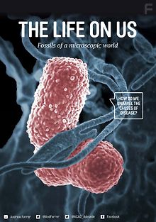 Жизнь на нашем теле