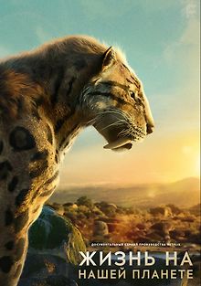 Жизнь на нашей планете