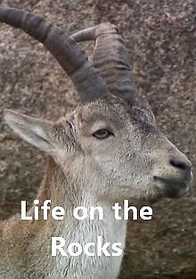 Жизнь на скалах