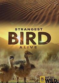 Жизнь необычной птицы