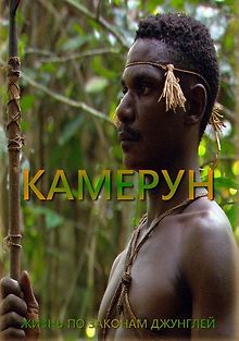 Жизнь по законам джунглей. Камерун