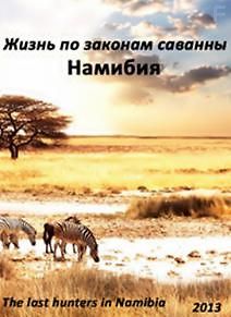 Жизнь по законам саванны. Намибия