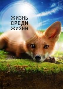 Жизнь среди жизни