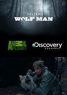 Золтан – повелитель стаи