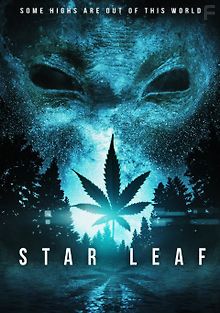 Звездная травка