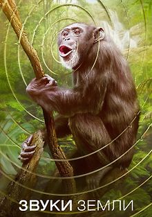 Звуки Земли