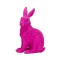 Pink Rabbit